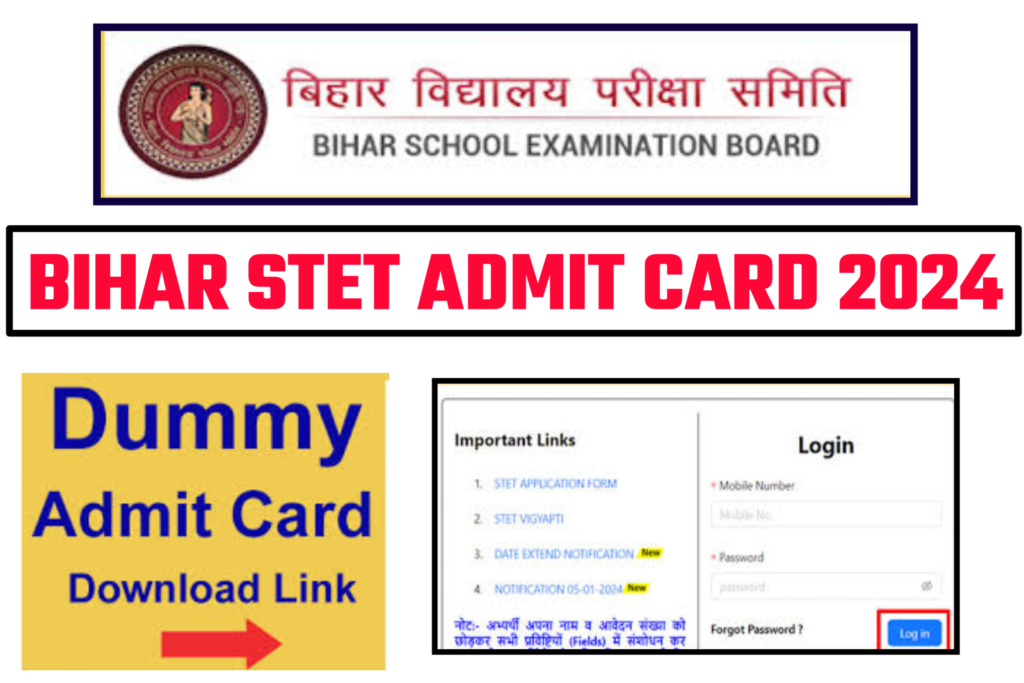 Bihar STET Dummy Admit Card 2024